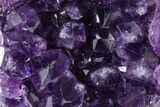 Free-Standing Amethyst Crystal Cluster - Uruguay #368248-1